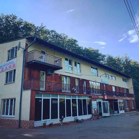 Отель Pensiunea Pastravul Кырцишоара Экстерьер фото